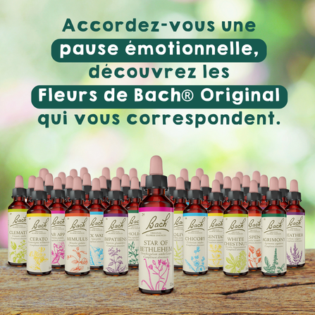 Retrouvez votre Fleur de Bach sur Pharmazon.fr