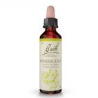 Honeysuckle 20ml