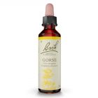 Gorse 20ml