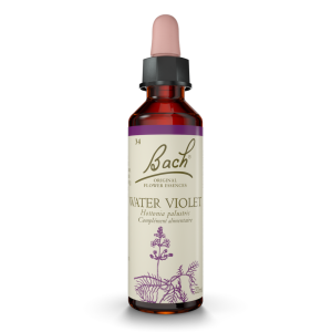 Water Violet 20ml