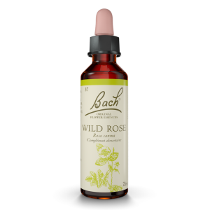 Wild Rose 20ml